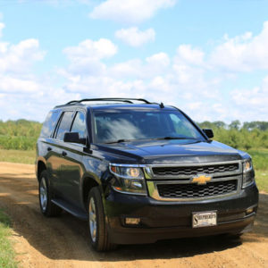 Photo of a clean SUV on a dirt road in the summer