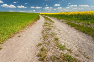 Work with Great Lakes Chloride for Michigan Dirt Road Maintenance image shows dirt road between fields