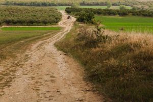 Tackle dust control with Michigan Dirt Road Maintenance help from Great Lakes Chloride image shows dirt road in rural area