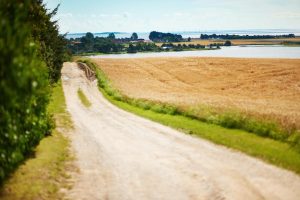 Receive support maintaining local roads with Michigan Gravel Road Maintenance services from Great Lakes Chloride image shows road next to field