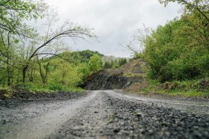 Contact Cultiva Systems for assistance with Ohio Unpaved Road Stabilization image shows dirt road between trees